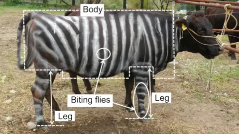 Zebra Cows and Slippery Edibles Secure Humorous Science Awards